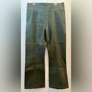 NWT Ladies Diane Gilman Green Front Seam Side Elastic Hi Rise Straight Pants 1X